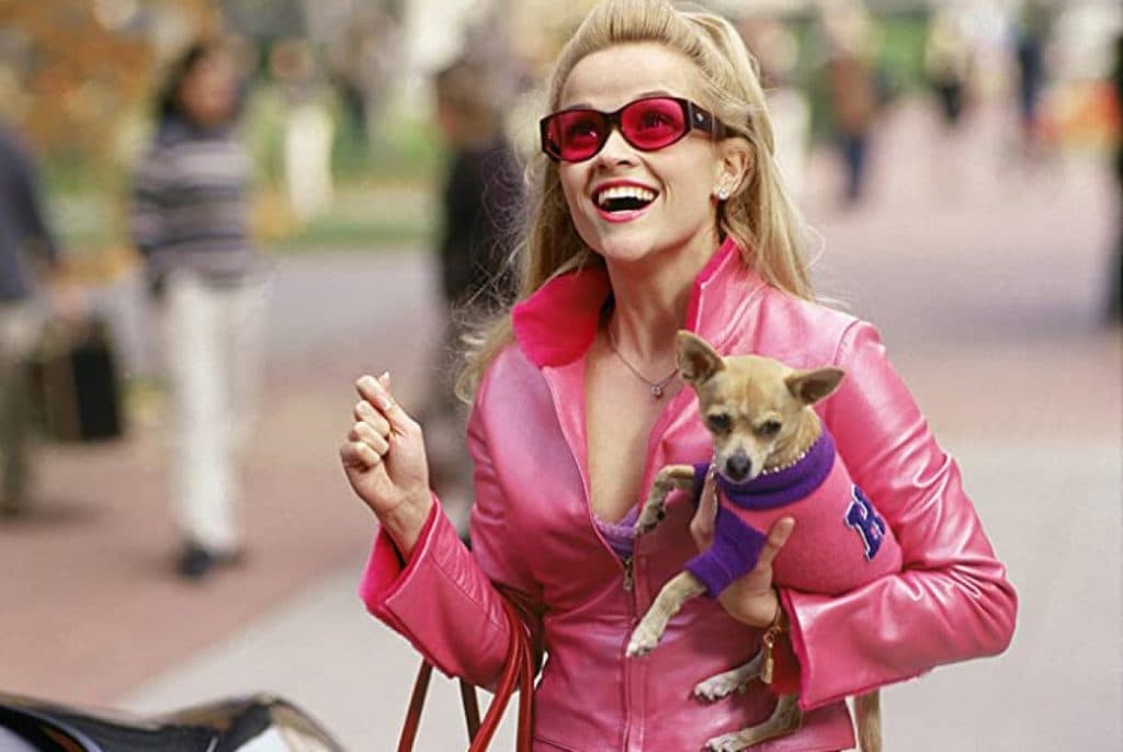 Legally Blonde 3 filmi yoldayken bir feminist ikon olarak Elle Woods